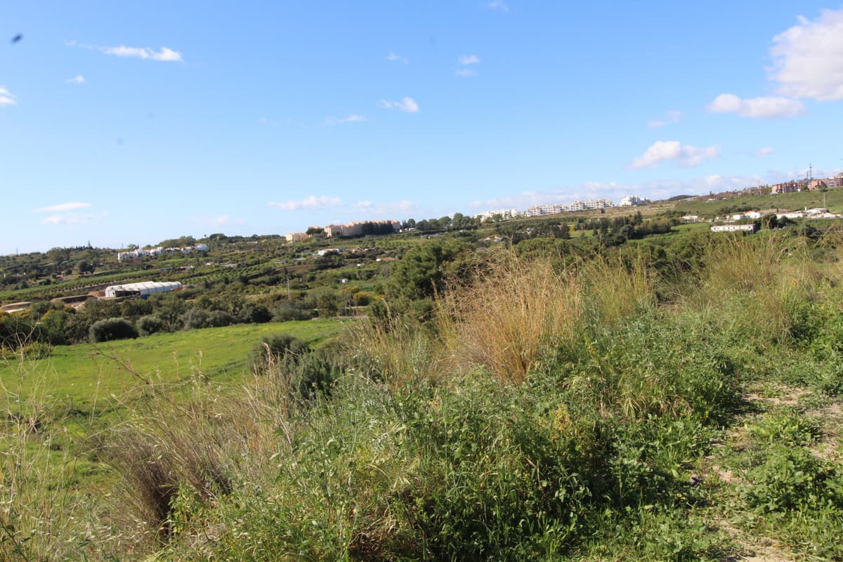 Residential Plot in Benahavís — photo 5 of 10