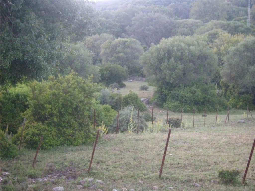Land in Estación de Gaucin — photo 10 of 10