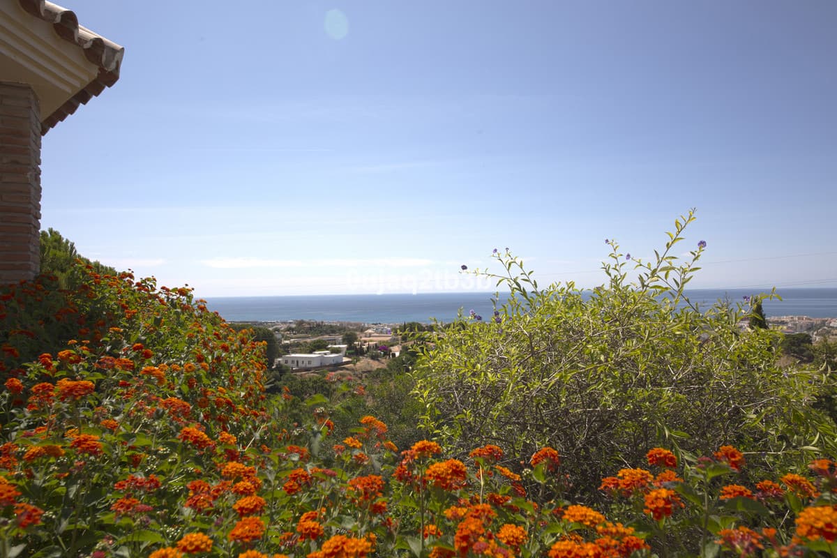 Detached Villa in Estepona — photo 8 of 10