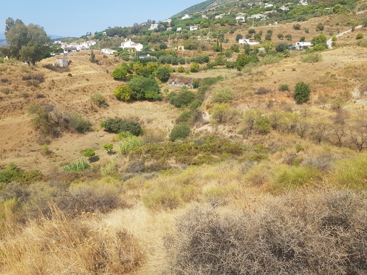 Land in Valtocado — photo 4 of 10