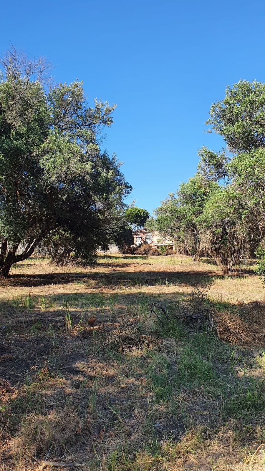 Land in San Pedro de Alcántara — photo 4 of 5