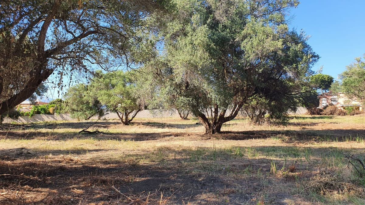 Land in San Pedro de Alcántara — photo 5 of 5