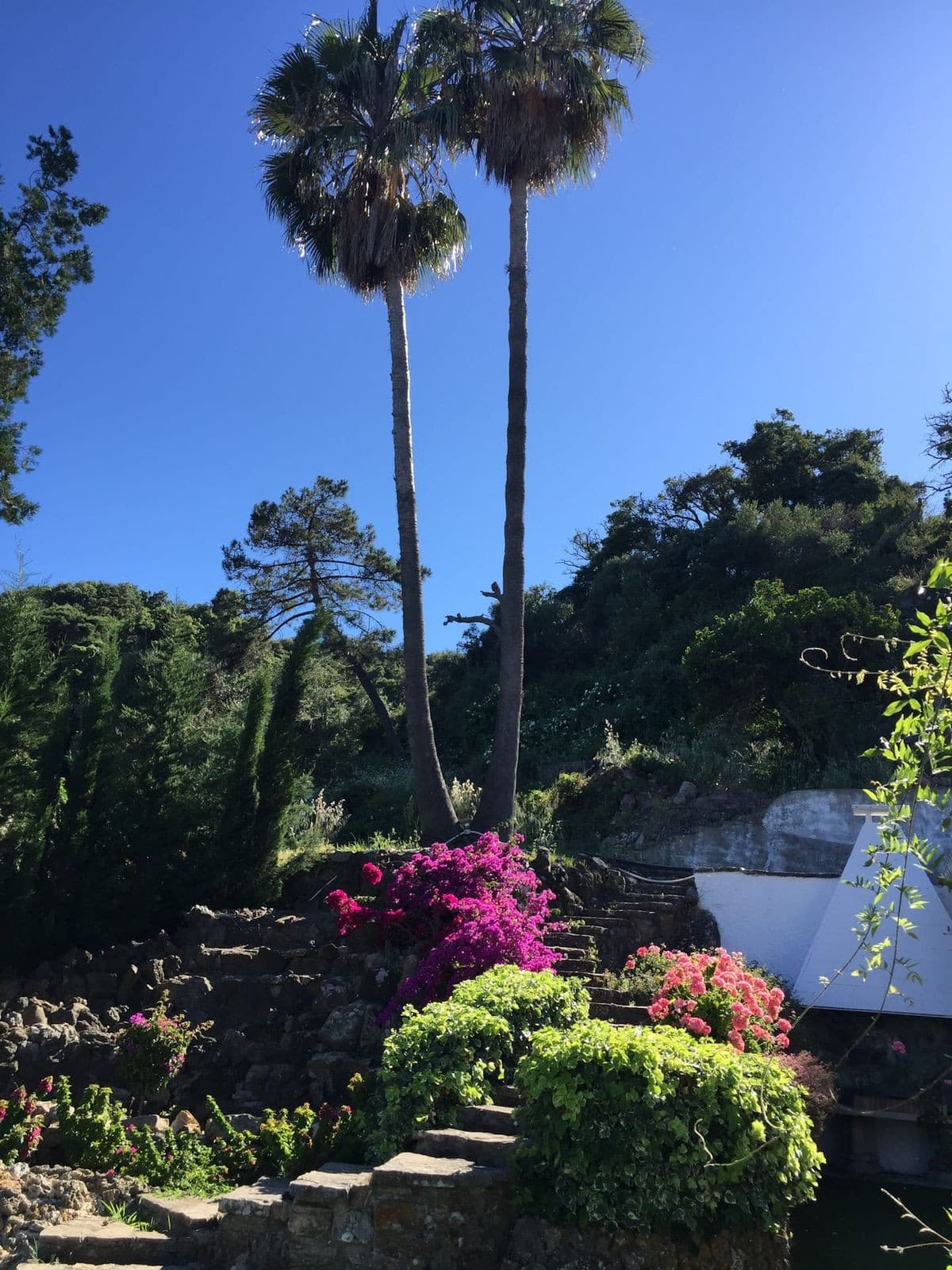Cortijo in Algeciras — photo 2 of 10