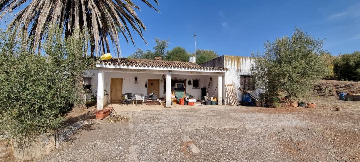 Detached Villa in Estepona — photo 4 of 10