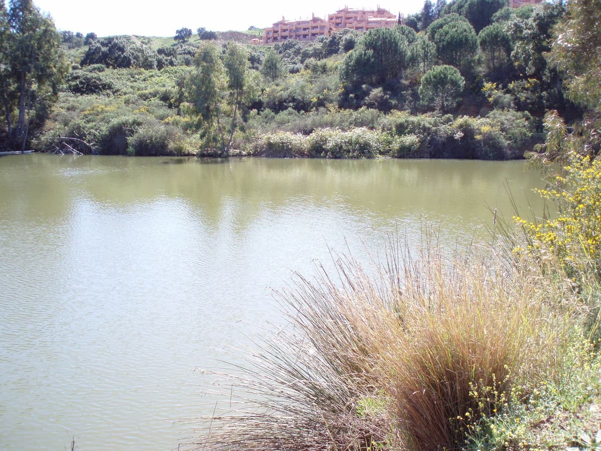 Land in Mijas — photo 2 of 10