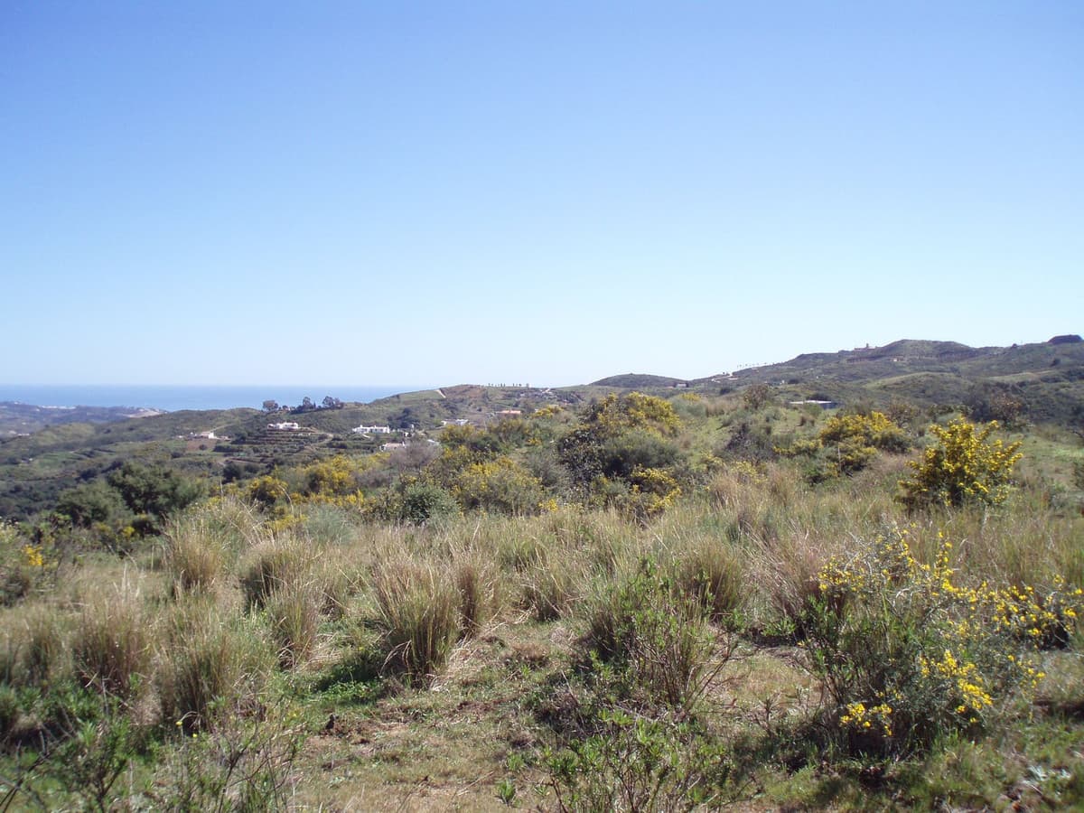 Land in Mijas — photo 7 of 10