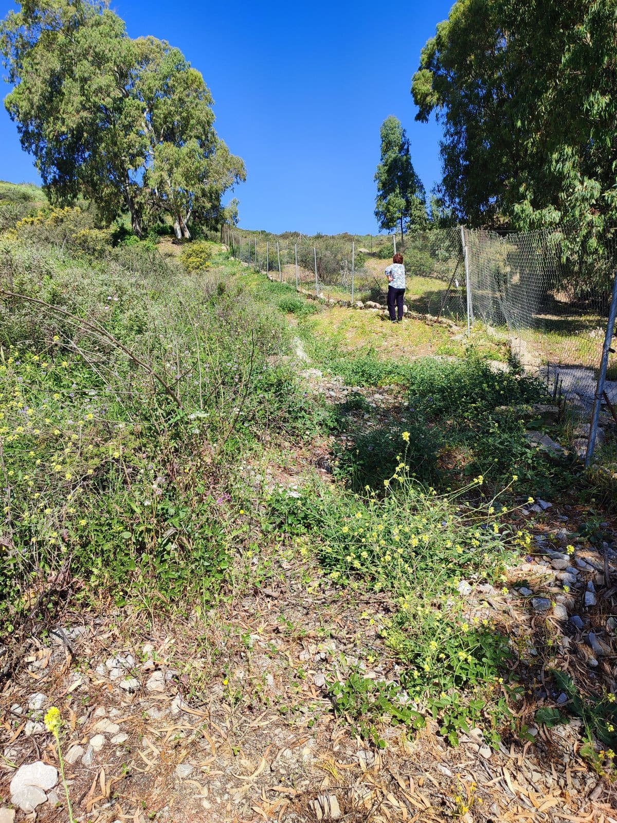 Land in Estepona — photo 7 of 7