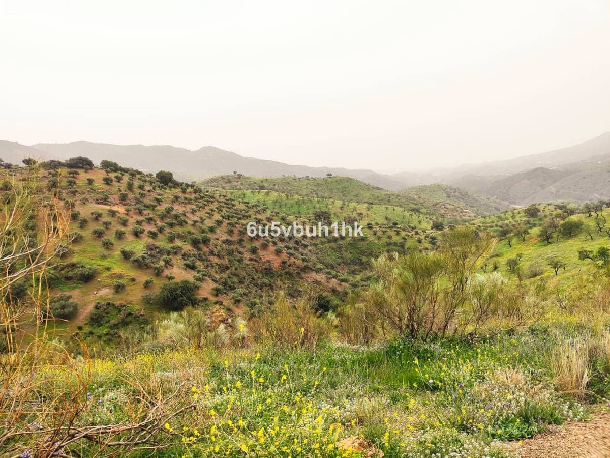 Land in Málaga — photo 5 of 10