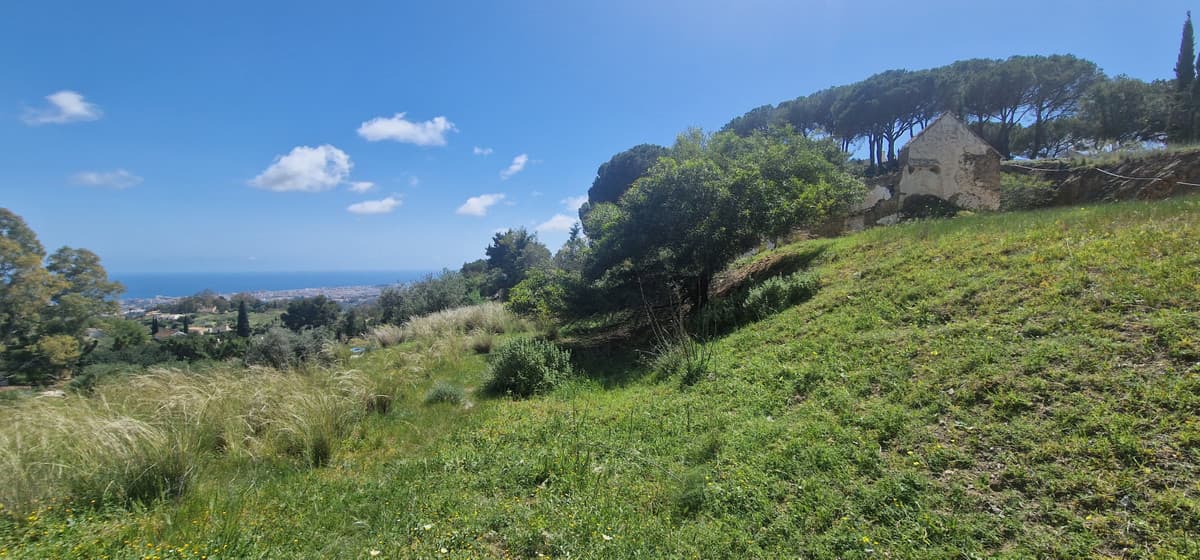 Residential Plot in Mijas — photo 5 of 9
