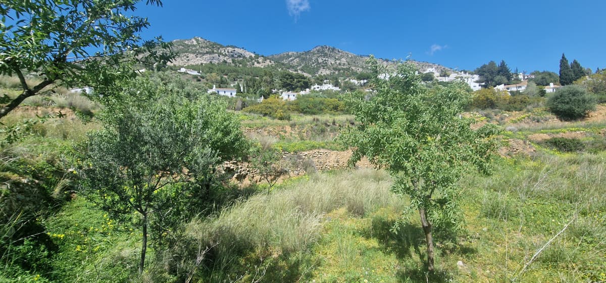 Residential Plot in Mijas — photo 6 of 9