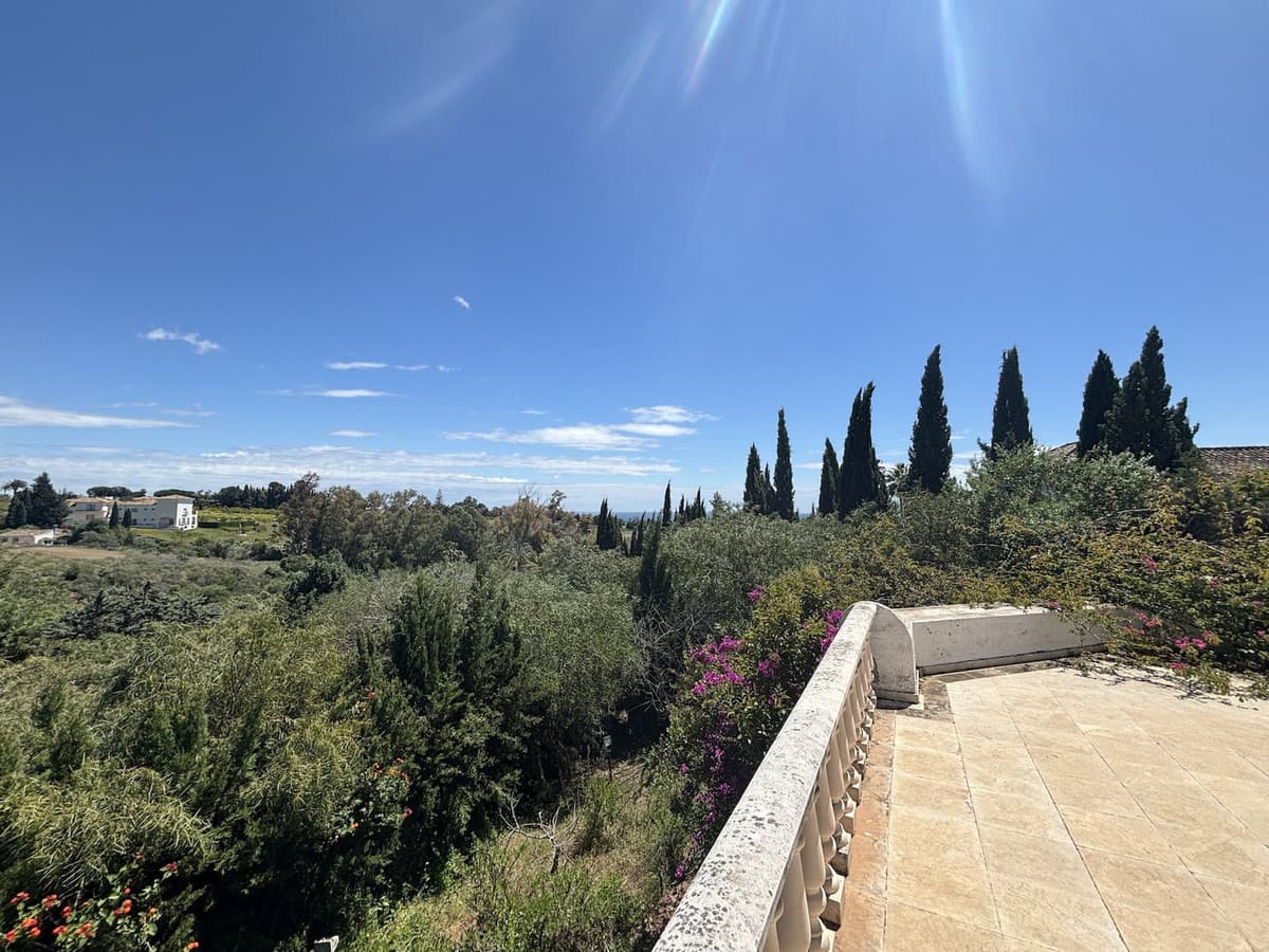 Detached Villa in The Golden Mile — photo 2 of 10