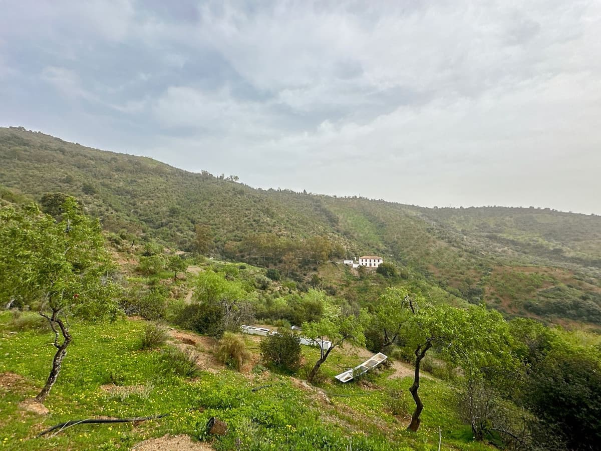 Cortijo in Pinares de San Antón — photo 4 of 10