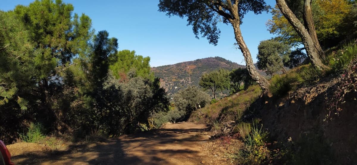 Cortijo in Jubrique — photo 6 of 10