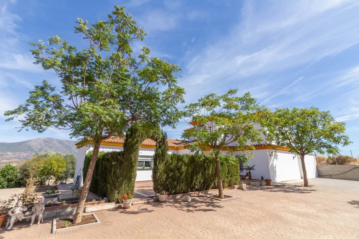 Cortijo in Entrerrios — photo 6 of 10