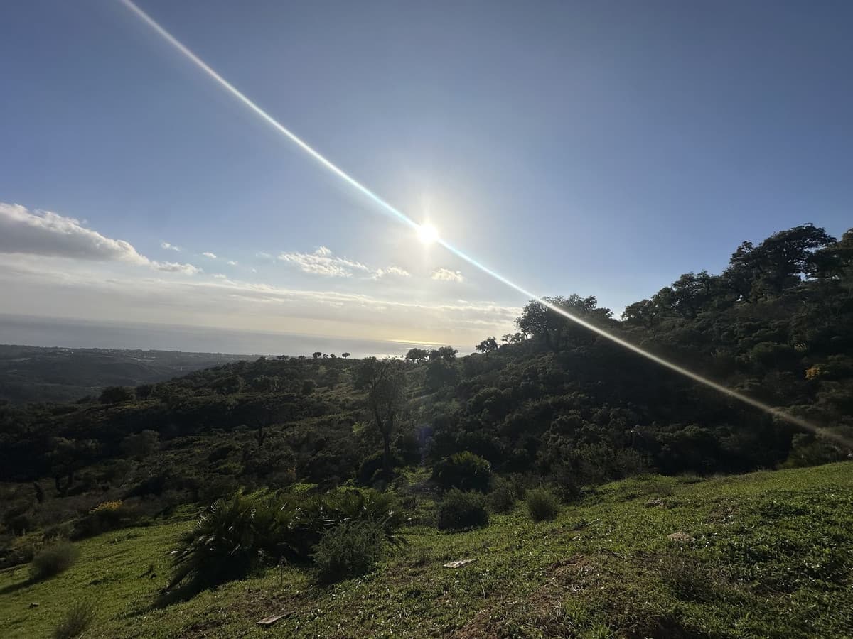 Land in La Mairena — photo 5 of 10
