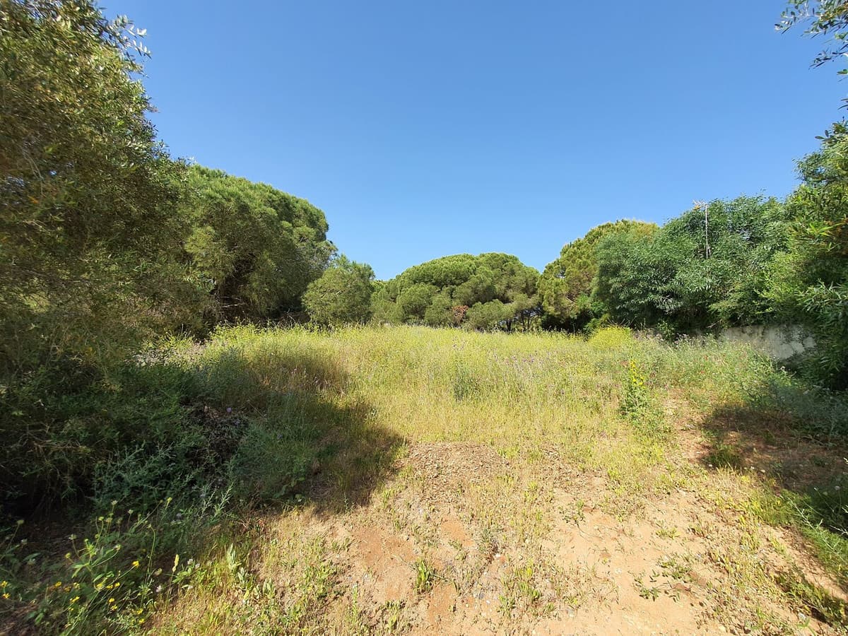 Residential Plot in Sotogrande — photo 7 of 8