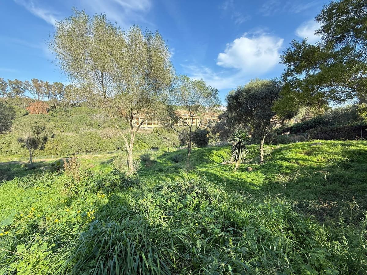Residential Plot in Sotogrande — photo 9 of 10