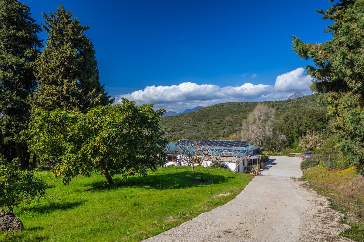Detached Villa in Casares — photo 4 of 10