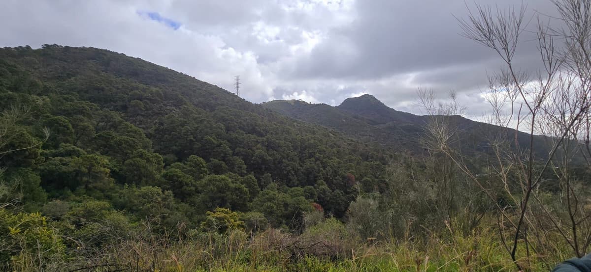 Land in Benahavís — photo 5 of 10
