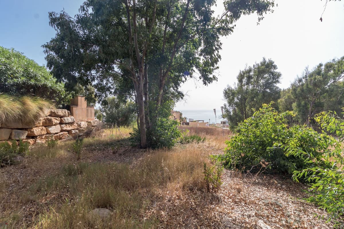 Residential Plot in Manilva — photo 8 of 10
