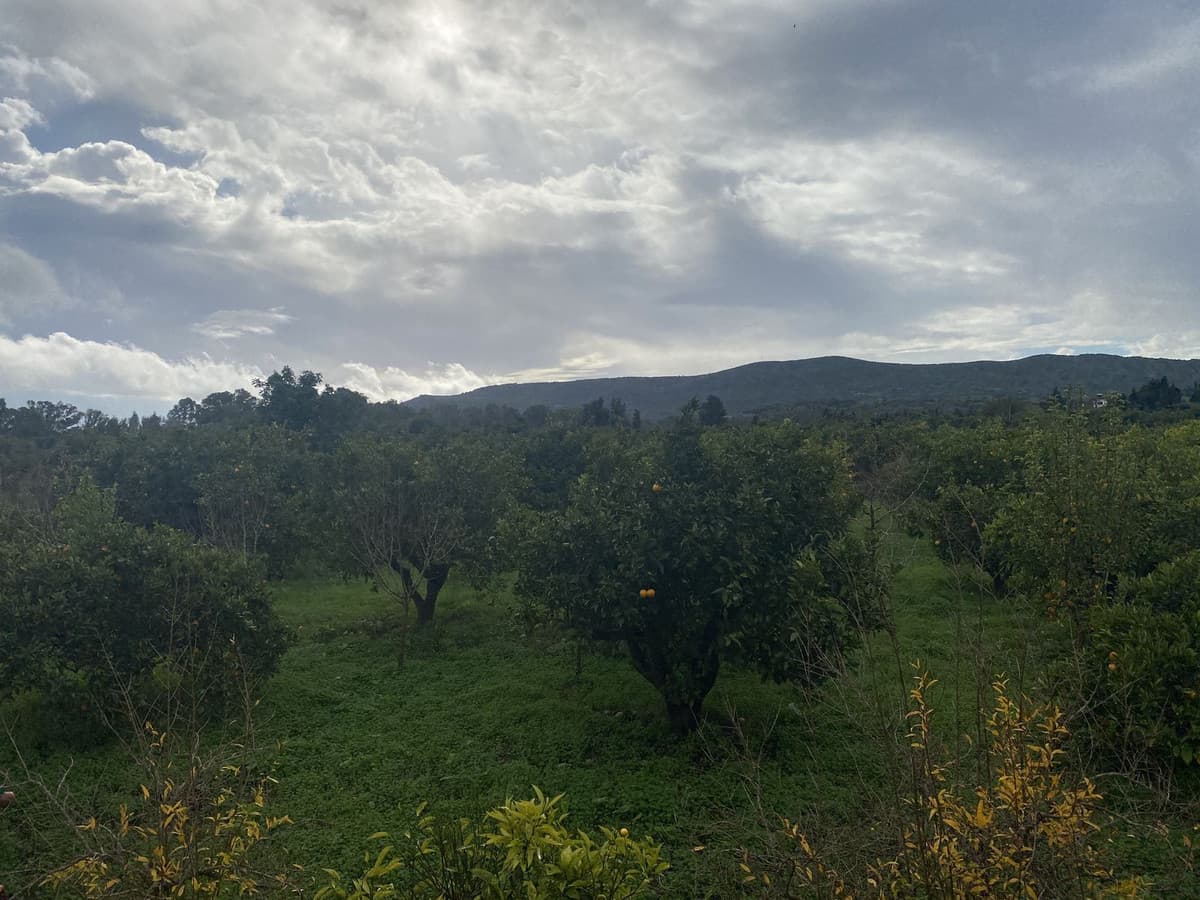 Land in Sotogrande — photo 10 of 10