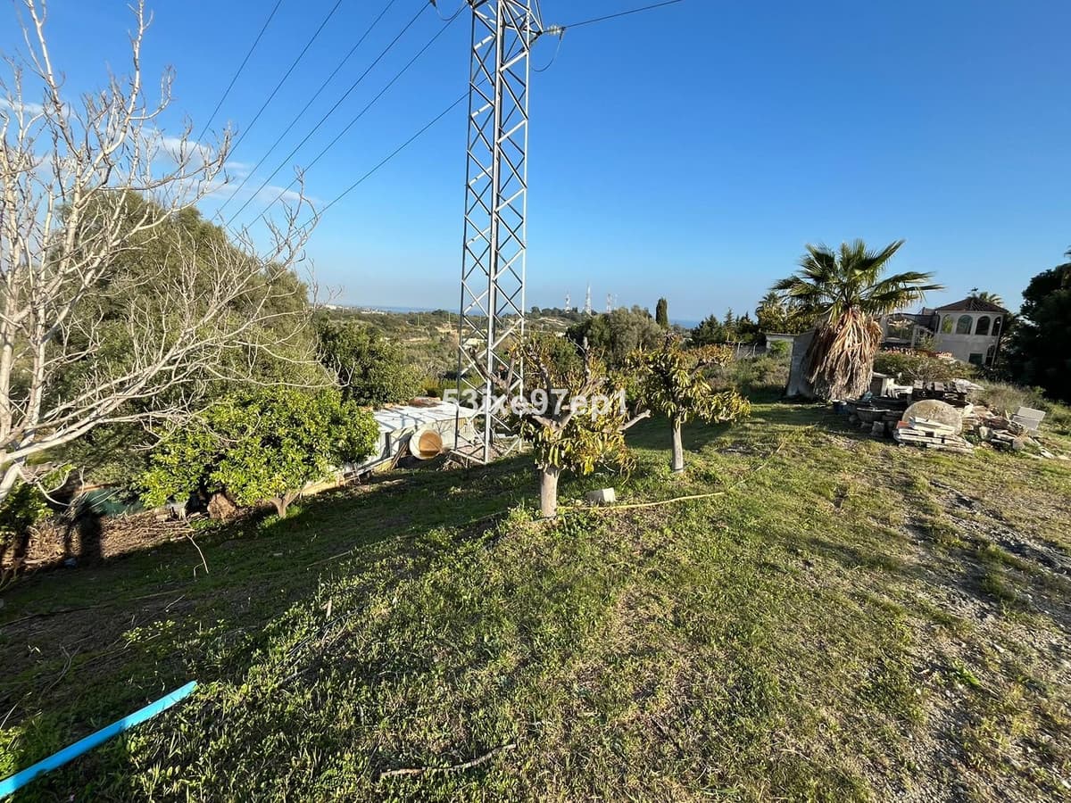 Cortijo in Estepona — photo 4 of 10