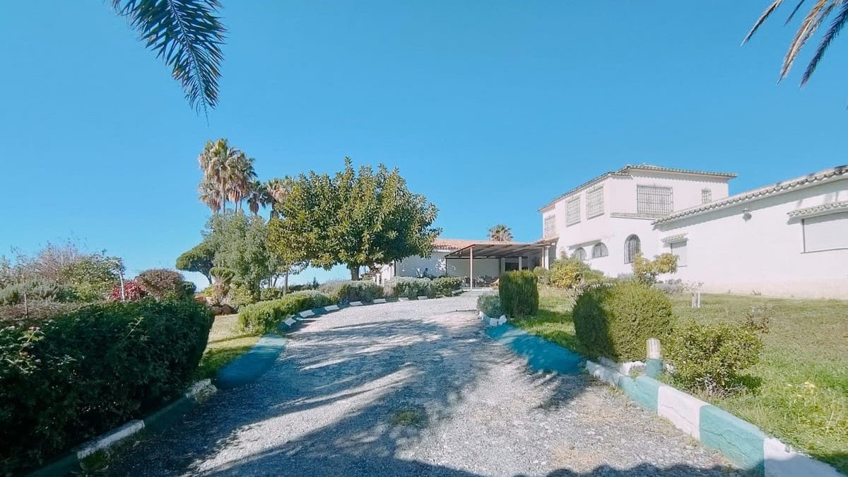 Detached Villa in Marbella — photo 4 of 10