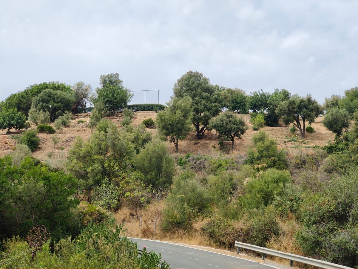 Land in Istán — photo 2 of 6