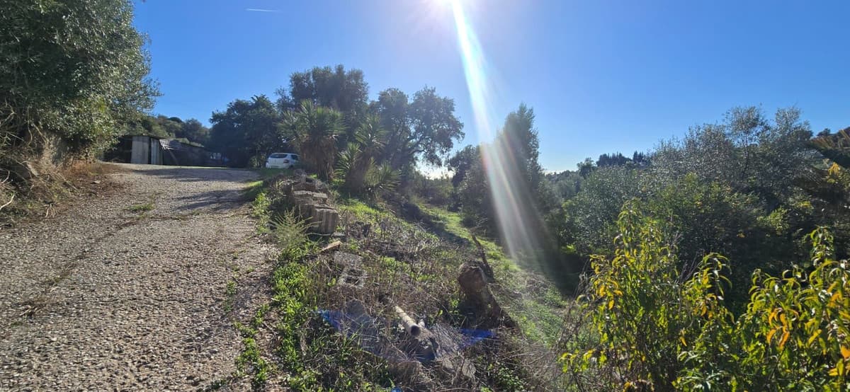 Cortijo in Estepona — photo 5 of 10