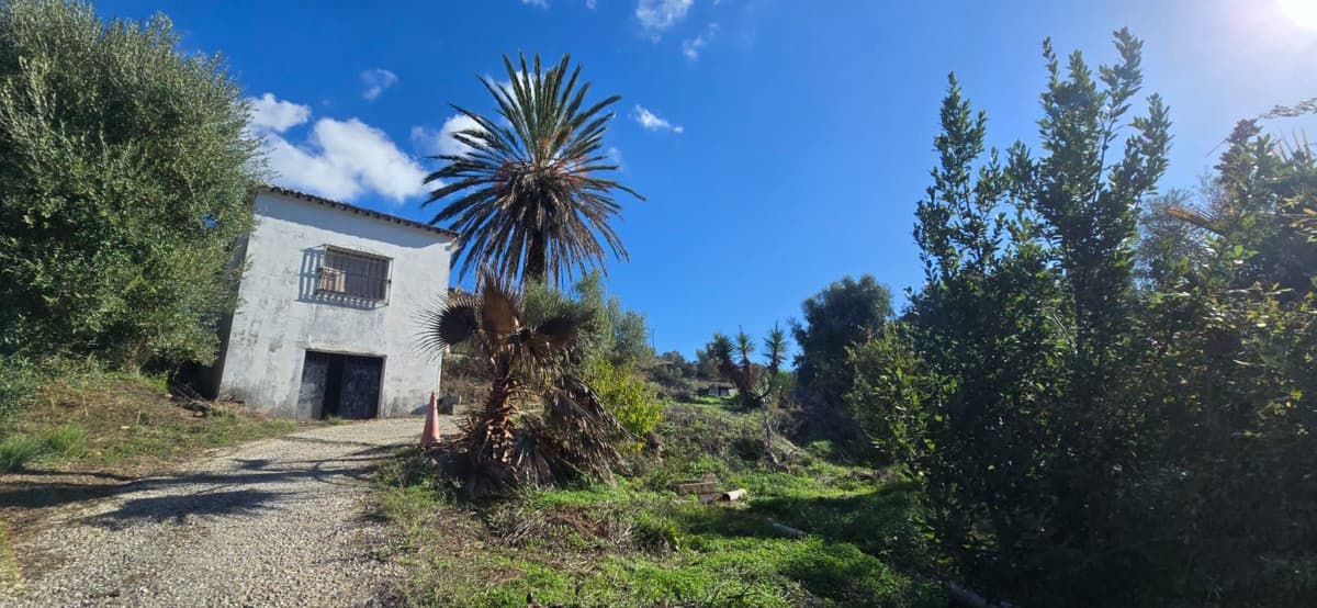 Cortijo in Estepona — photo 8 of 10