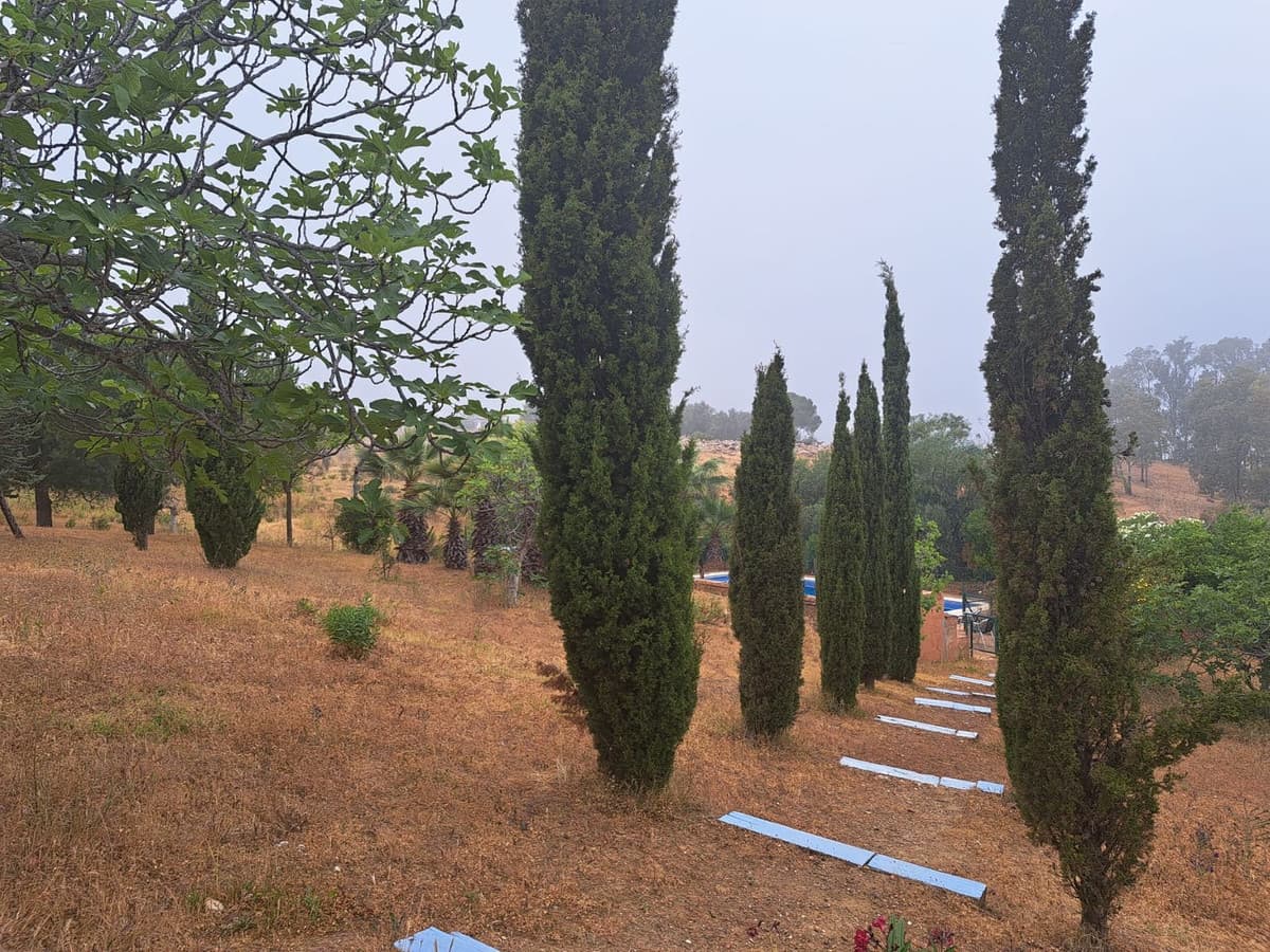 Cortijo in Mijas — photo 4 of 10