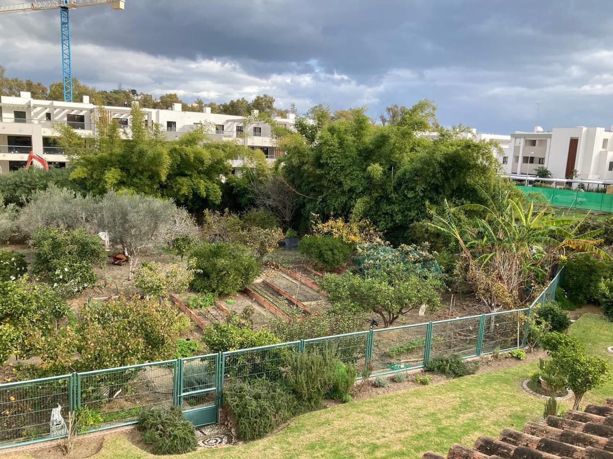 Residential Plot in Casares — photo 3 of 4