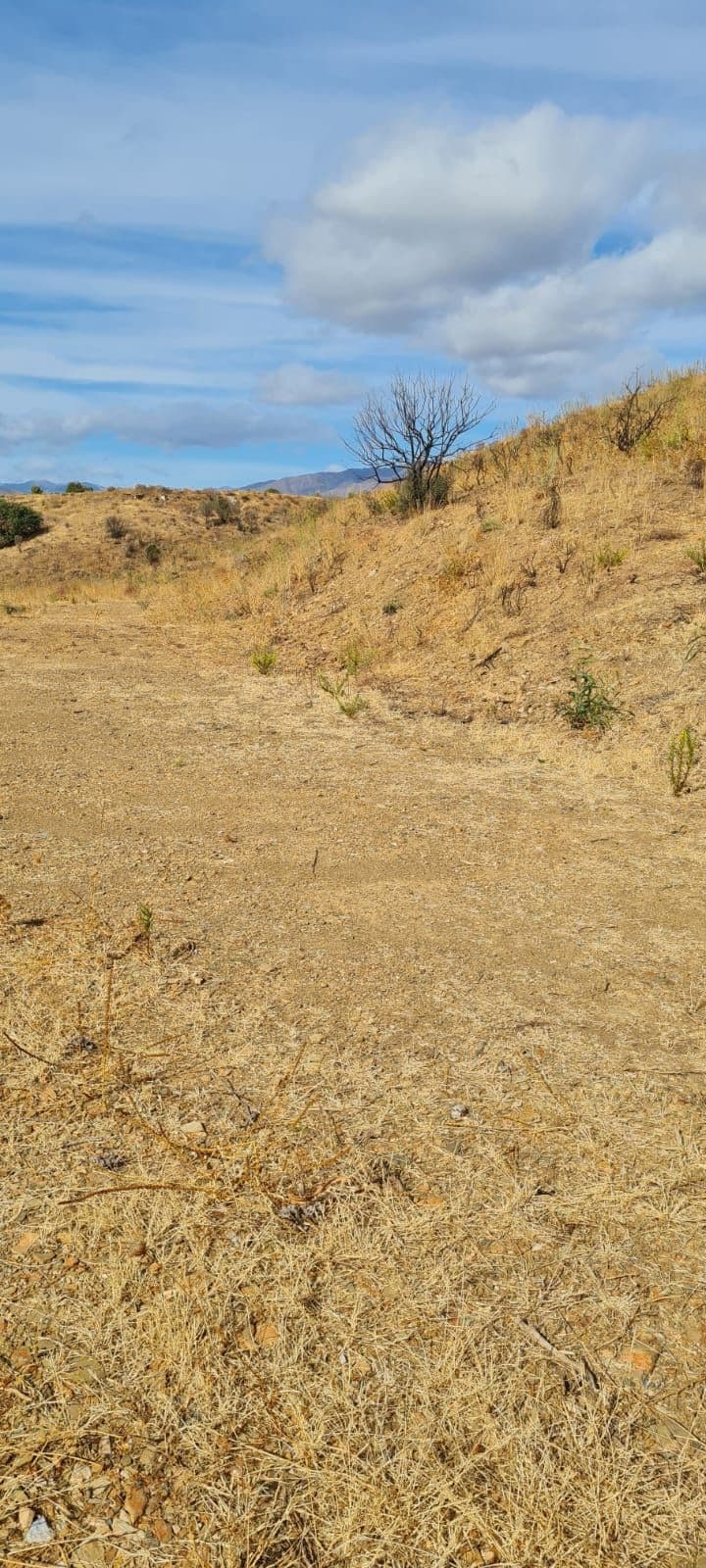 Residential Plot in Mijas Golf — photo 9 of 10