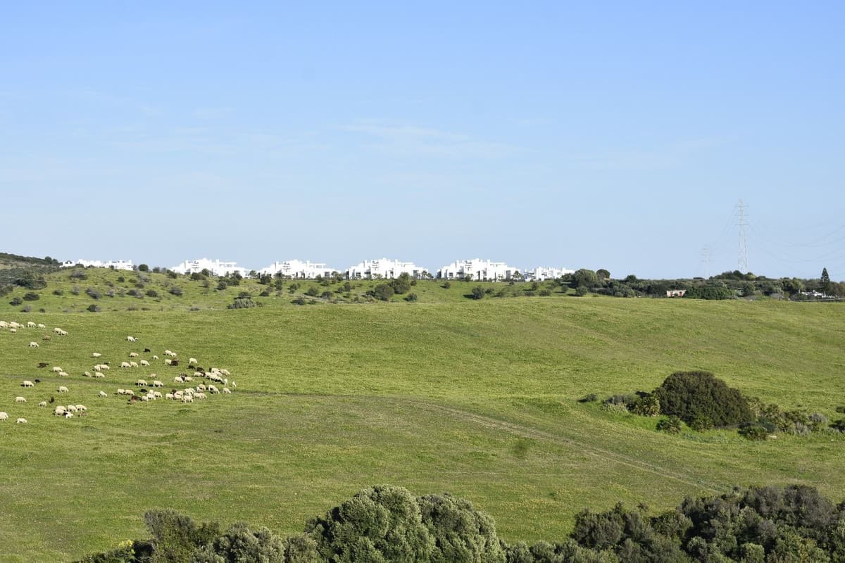Cortijo in Casares — photo 9 of 10