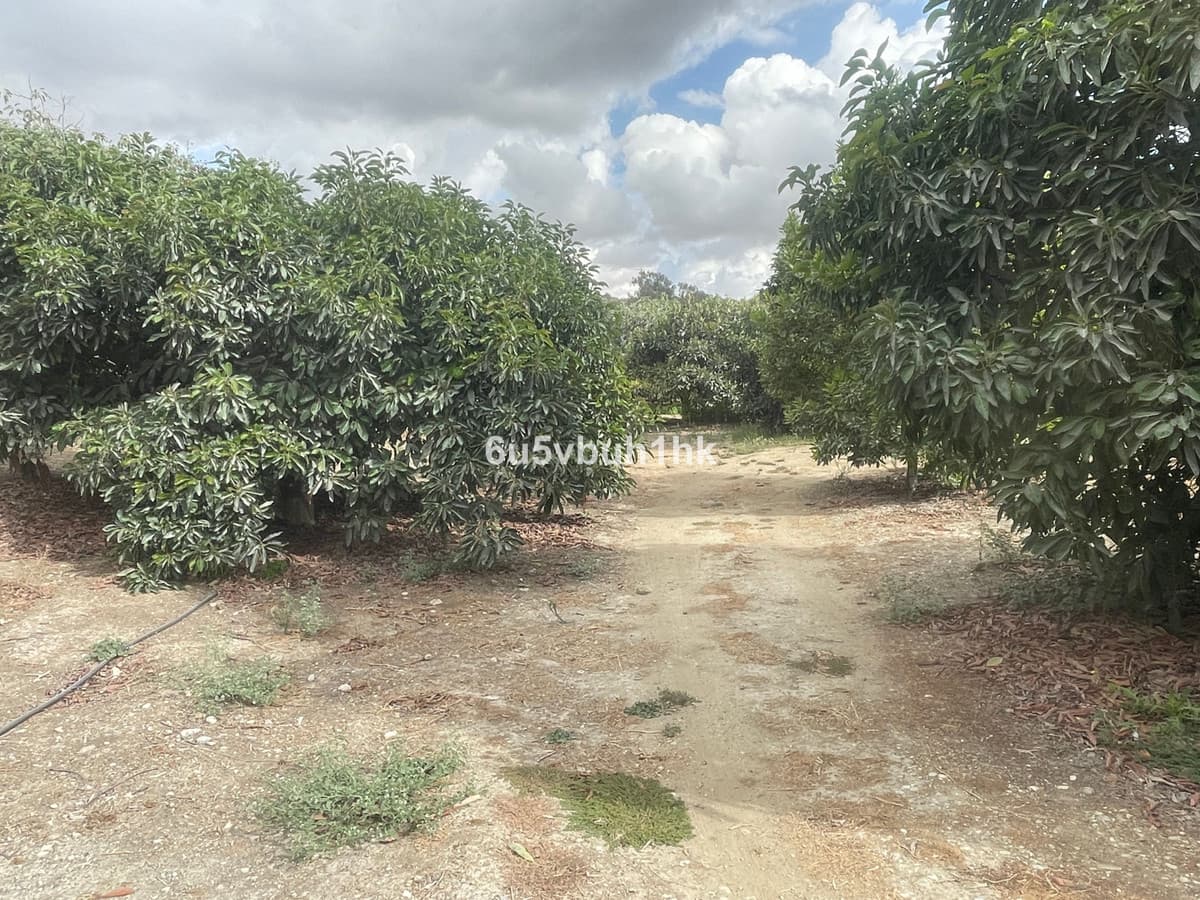 Land in Coín — photo 10 of 10