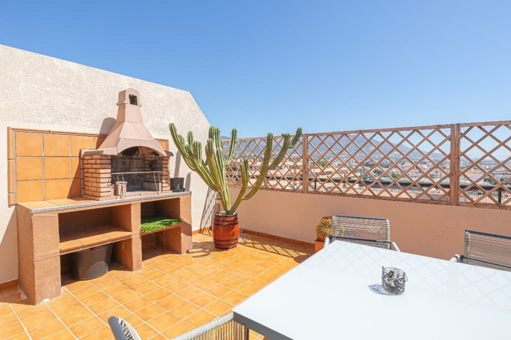 Penthouse in Las Lagunas — photo 4 of 10