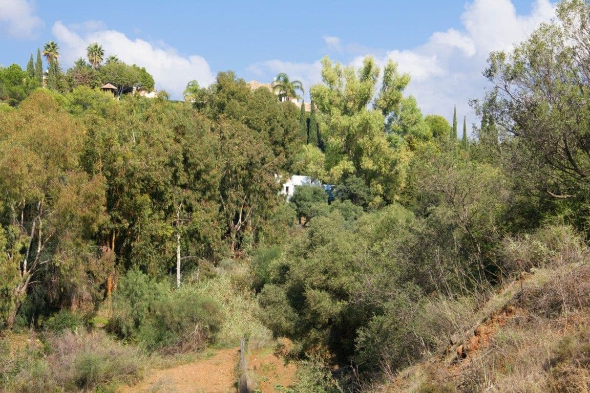 Residential Plot in Benahavís — photo 10 of 10