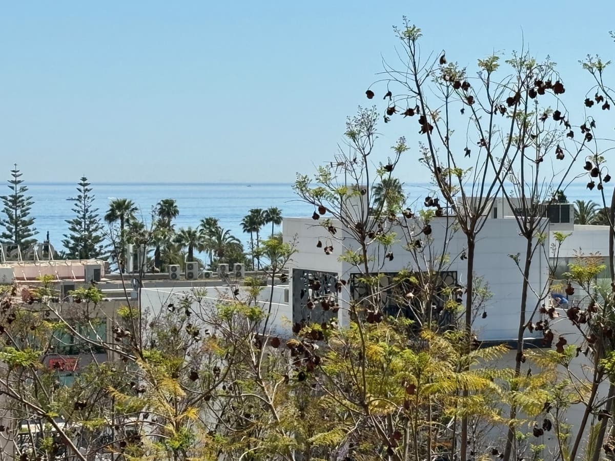 Penthouse in Marbella — photo 9 of 10