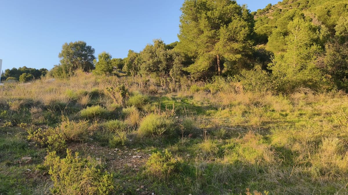Residential Plot in Mijas — photo 6 of 9