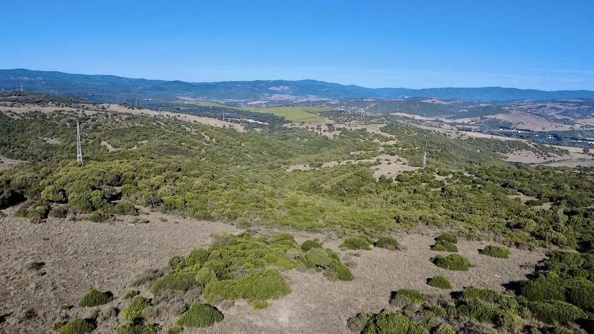 Land with Ruin in Sotogrande — photo 2 of 10