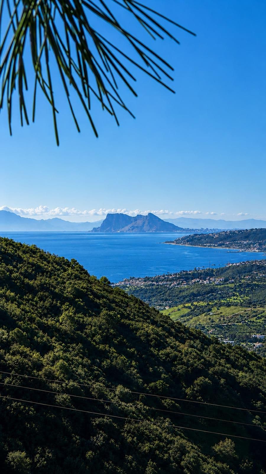 Land in Estepona — photo 1 of 6