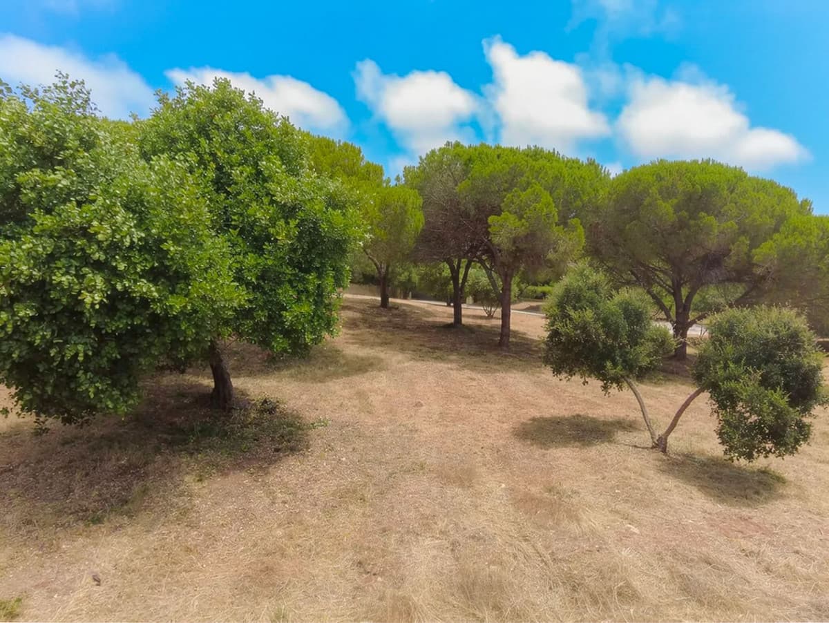 Residential Plot in Sotogrande Alto — photo 4 of 10