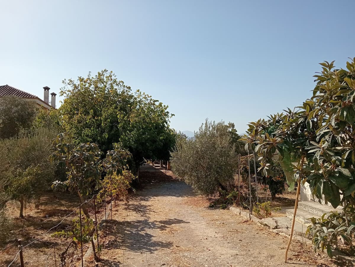 Residential Plot in Estación de Campanillas — photo 4 of 10