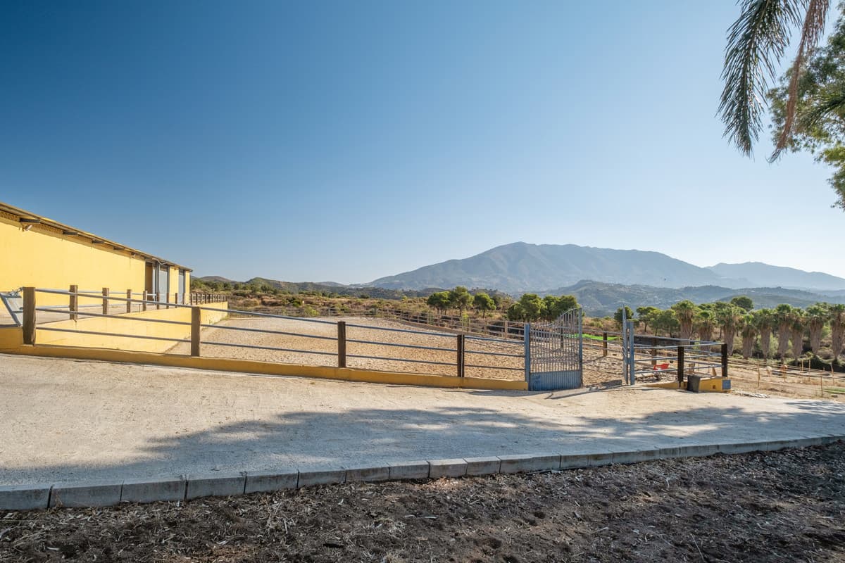 Cortijo in Mijas Costa — photo 10 of 10
