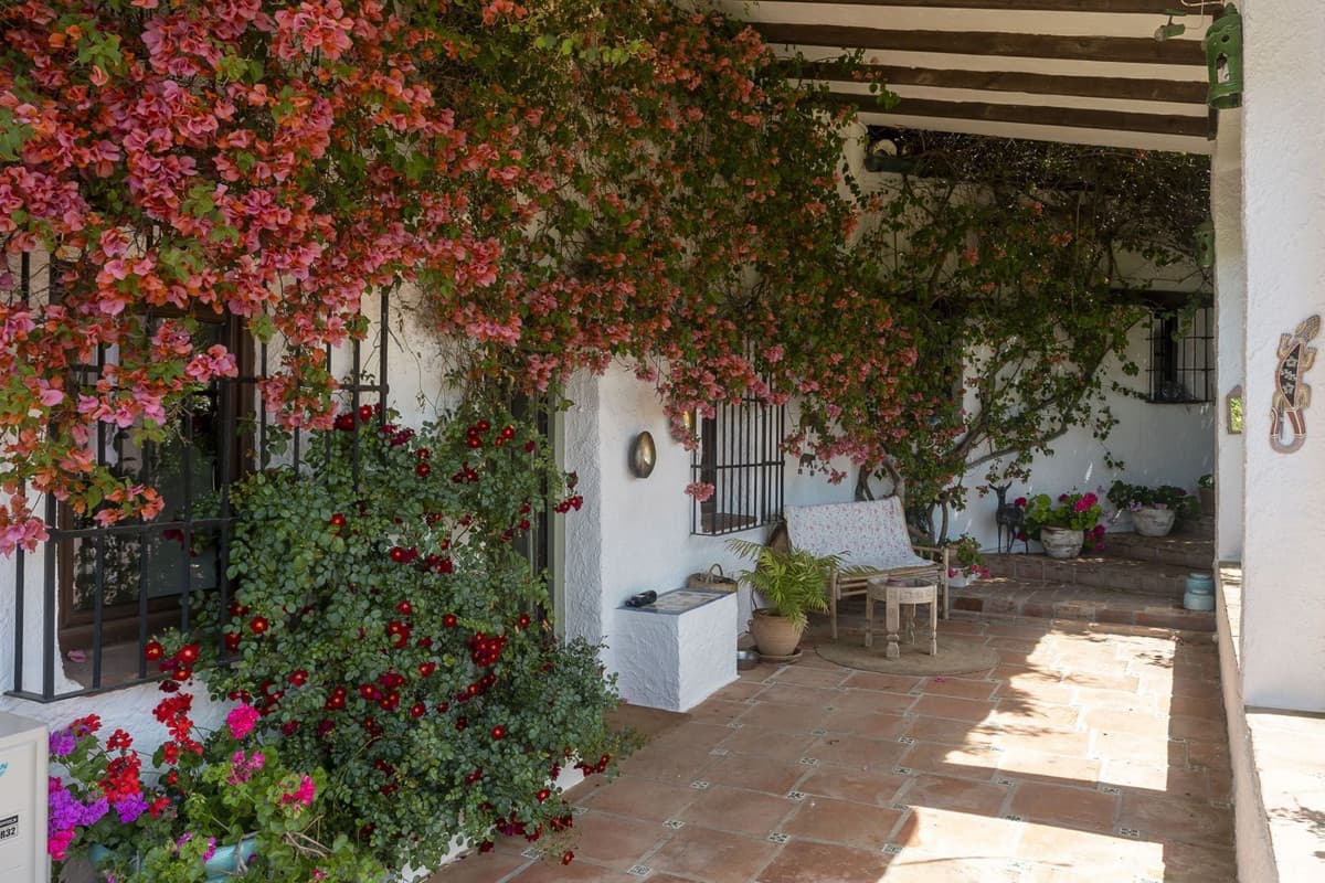 Cortijo in Alhaurín el Grande — photo 1 of 10