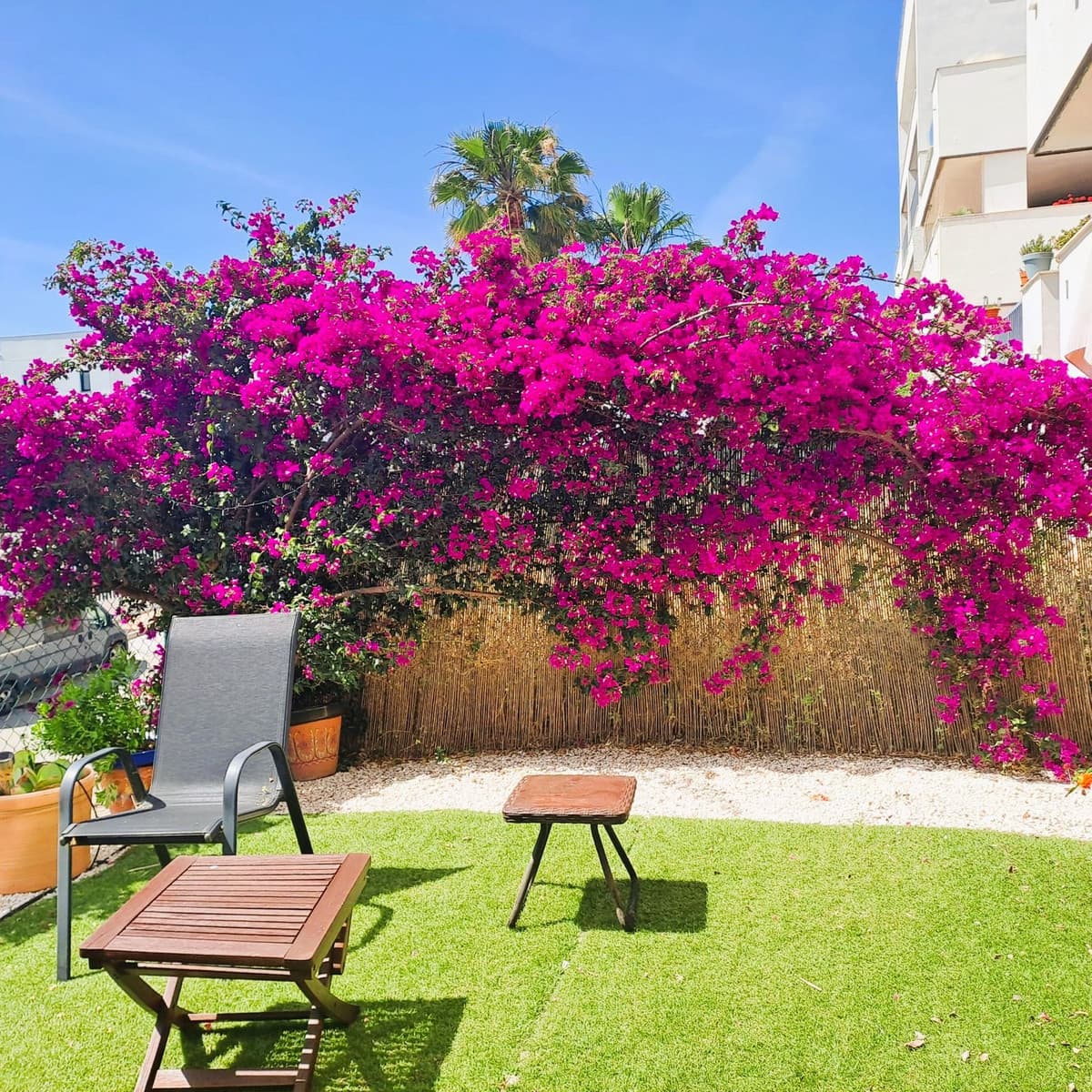 Ground Floor Apartment in Casares Playa — photo 2 of 10