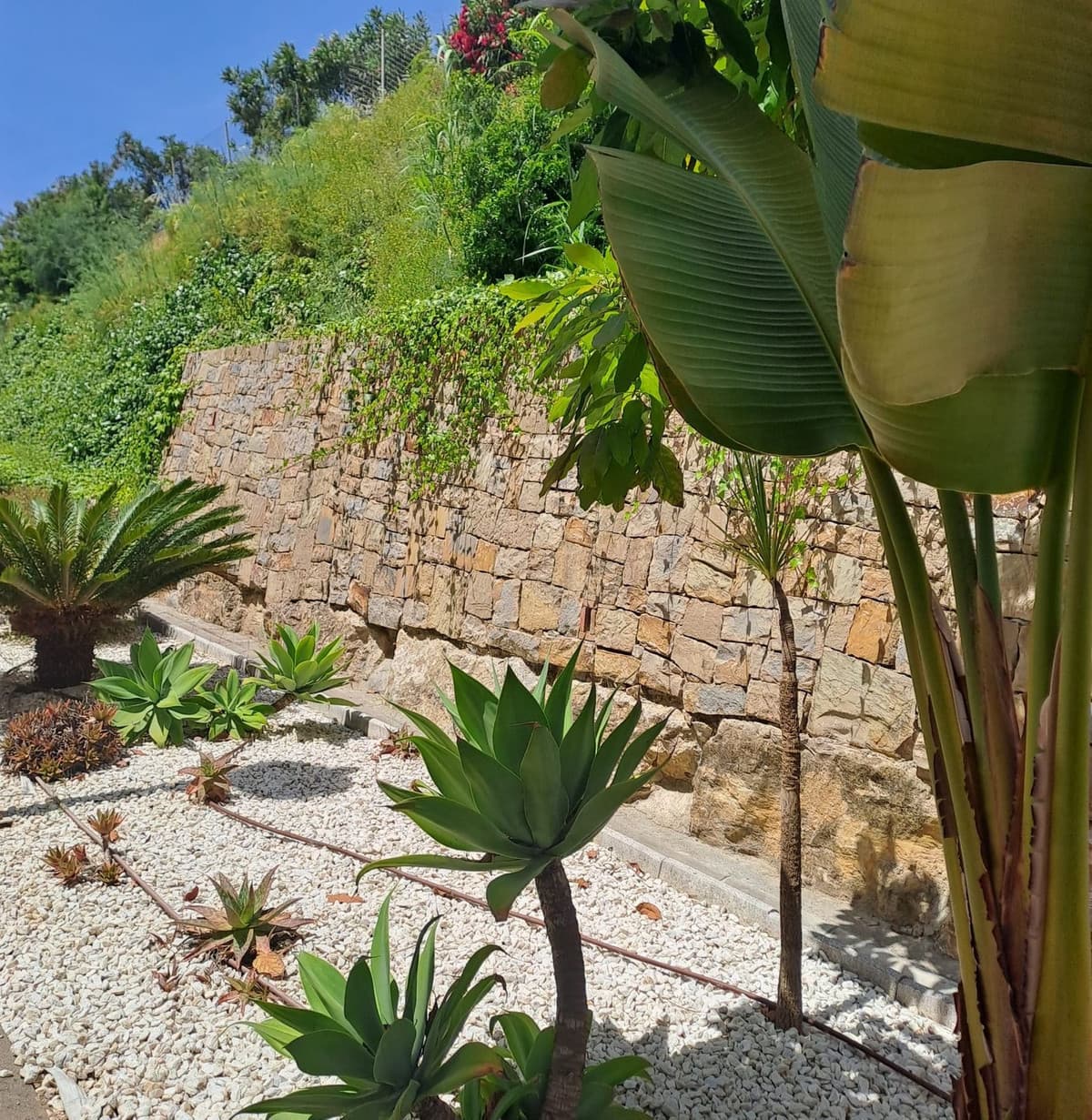 Ground Floor Apartment in Casares Playa — photo 4 of 10