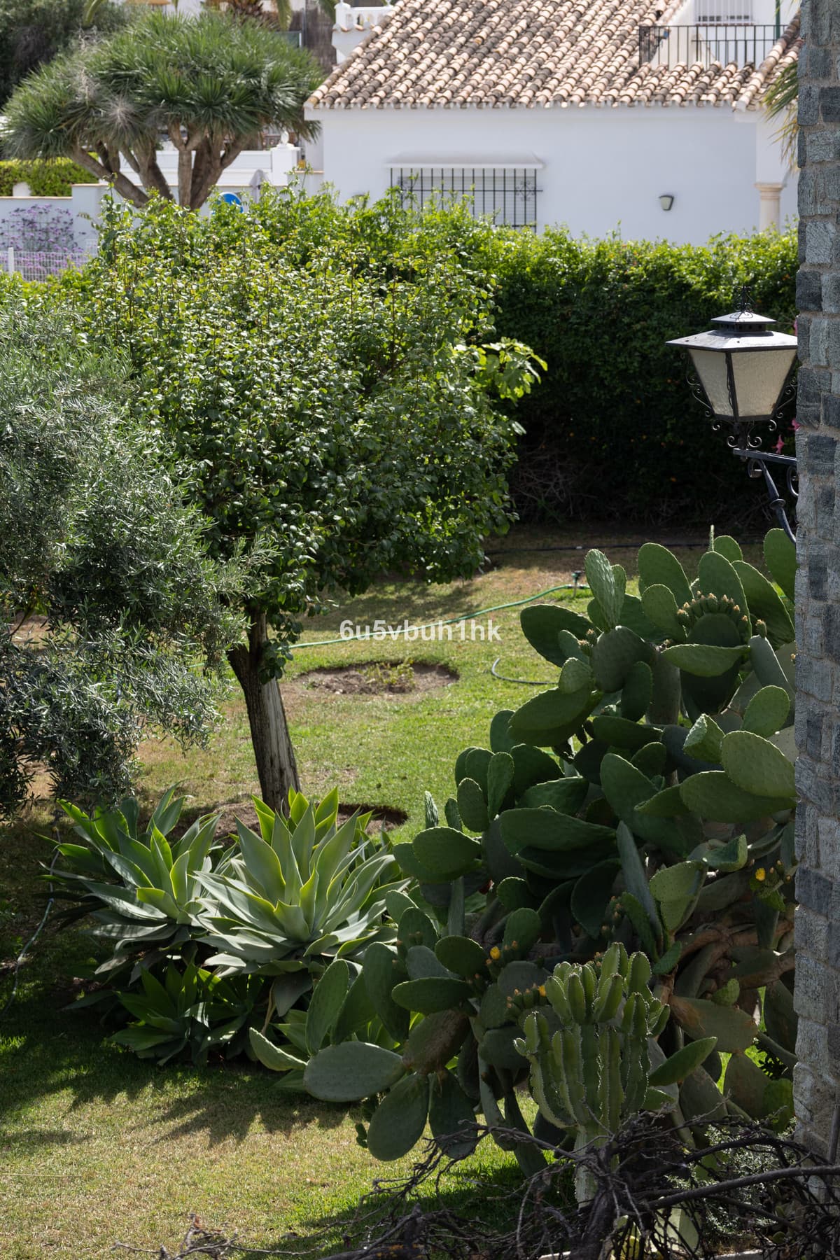 Townhouse in Málaga — photo 6 of 10