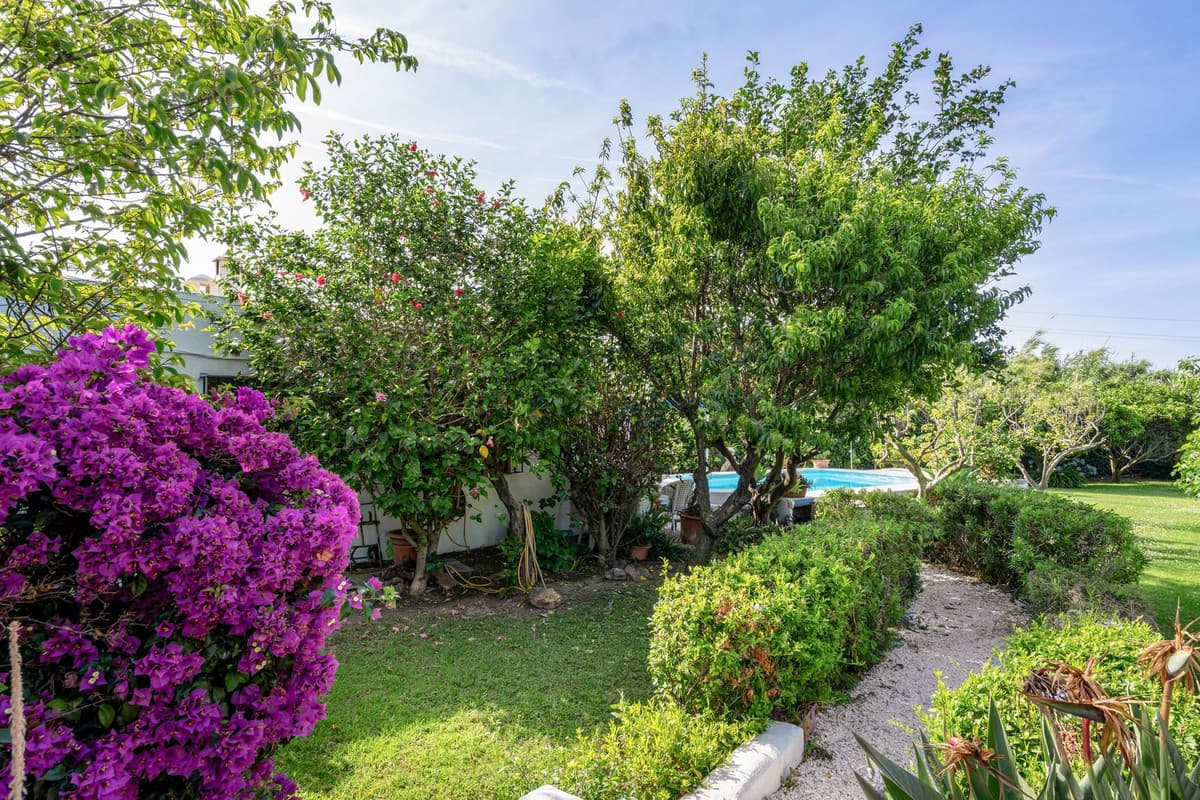 Cortijo in Estepona — photo 6 of 10