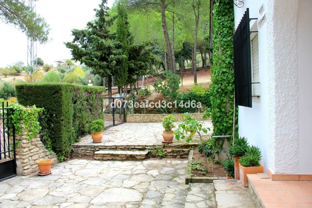 Detached Villa in Ronda — photo 5 of 10